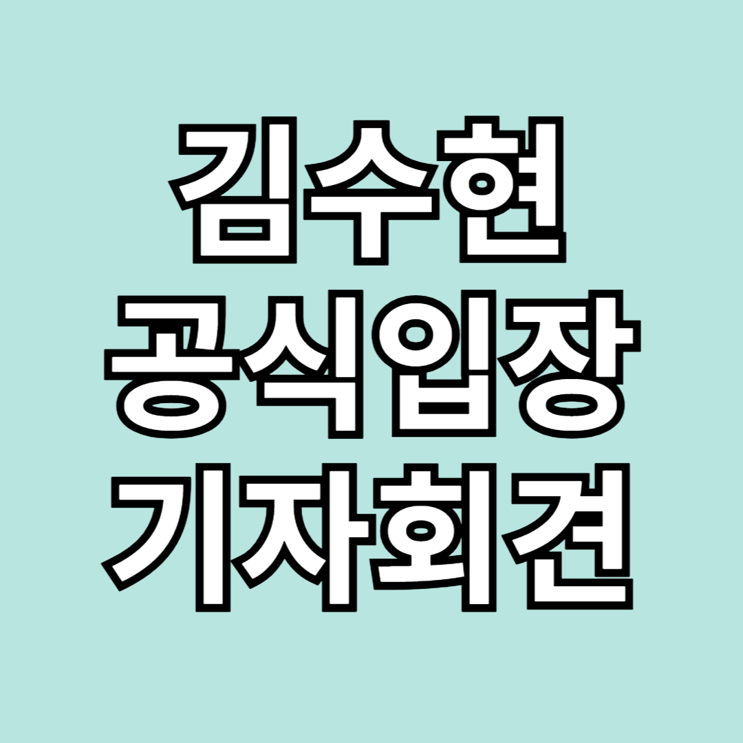 김수현 공식입장 발표 내용 공개