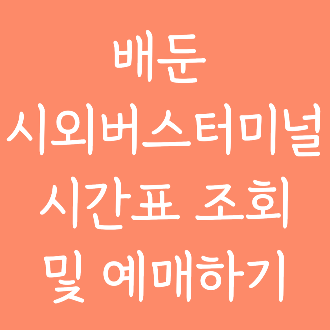 배둔 시외버스터미널 시간표 조회 및 예매하기