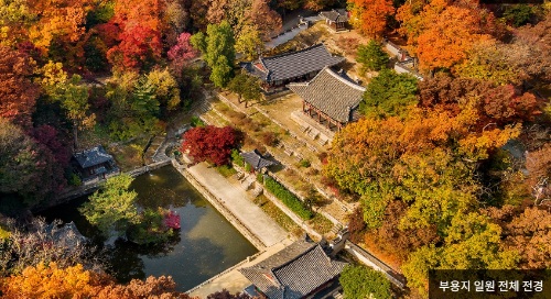 창덕궁후원 부용지