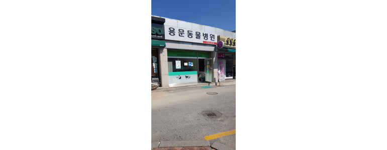 양평군 동물병원