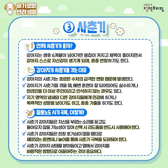 강아지사춘기