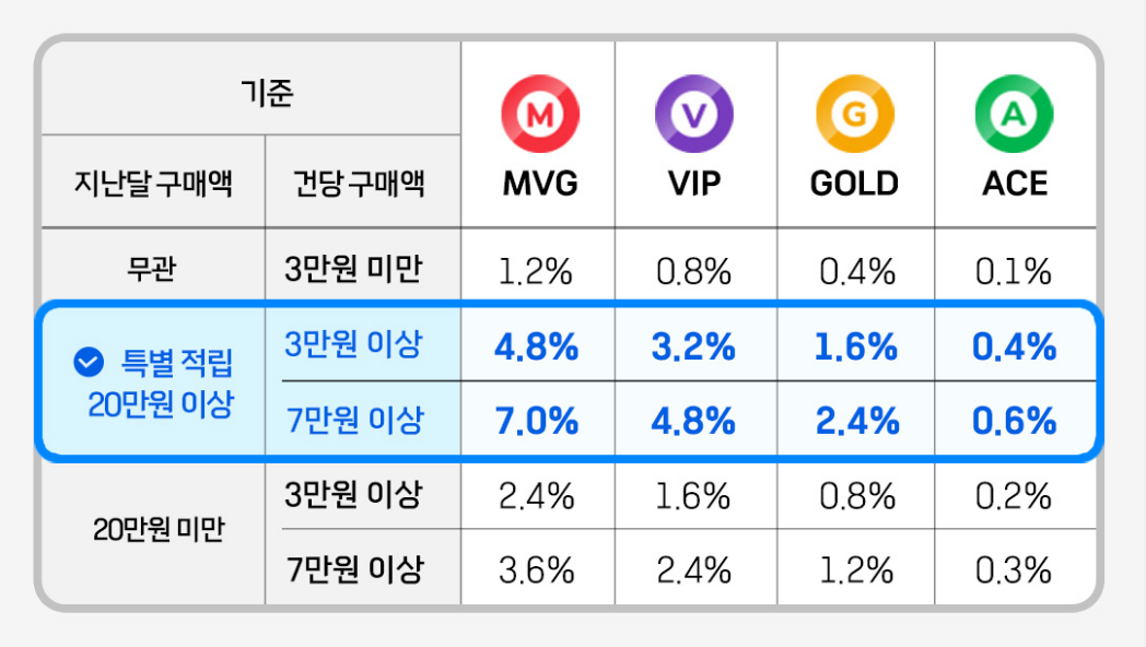 스노우 포인트 등급