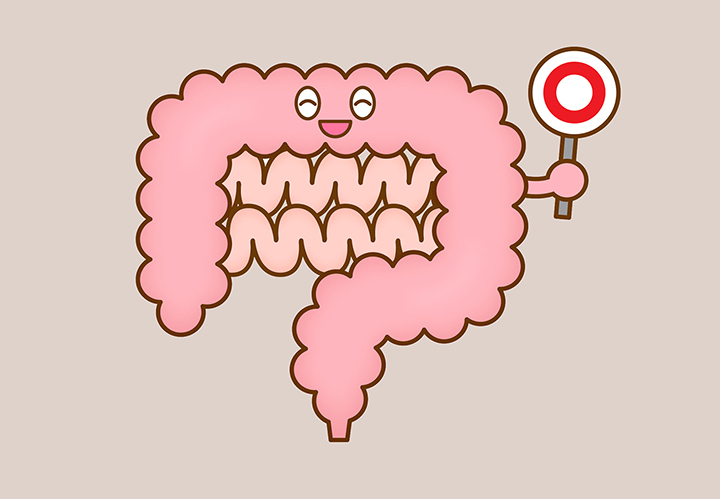 건강한-장-모습