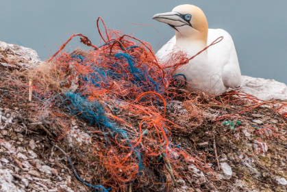 플라스틱의 문제점과 대체 제품, 효과적인 실천 방법
