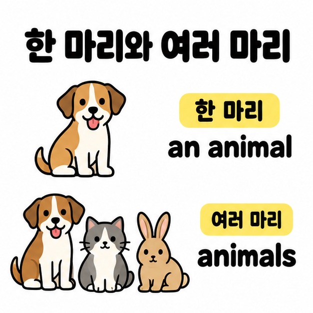 개 한 마리를 an animal로, 개와 고양이와 토끼 여러 마리를 animals로 표현한 비교 그림