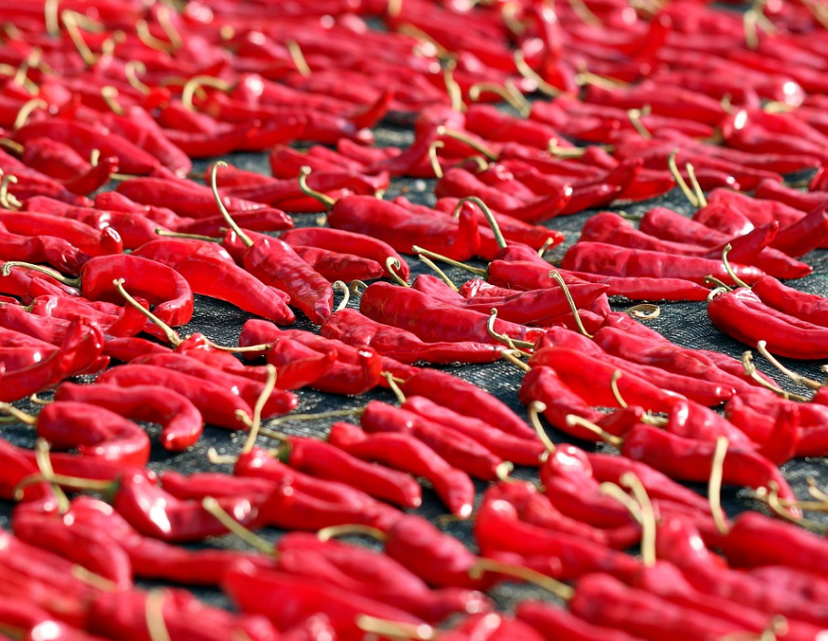 절임배추 20kg과 10kg 몇 포기 구매 바로가기