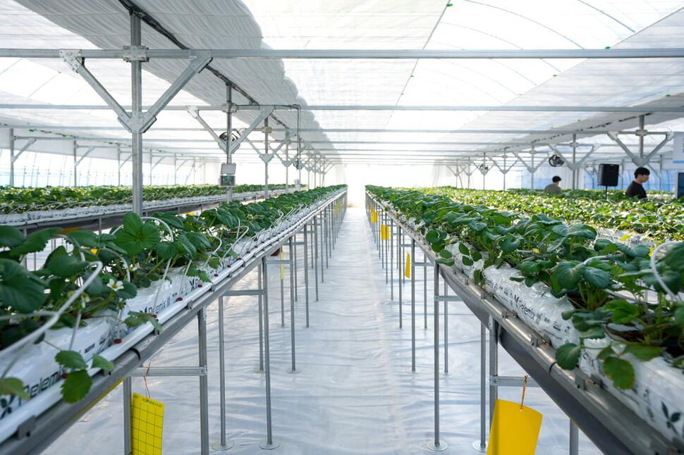 스마트팜 지원사업 알아보기! 신청 방법과 지원 대상 총정리