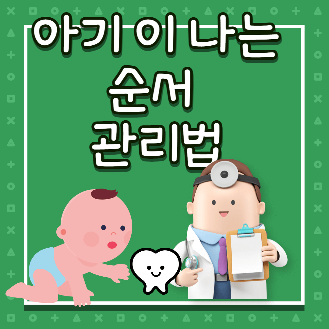 아기 이 나는 순서