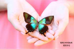 함평나비축제 예매 입장료 기간