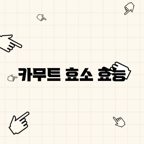 카무트 효소 효능