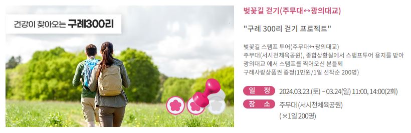 구례-300리-벚꽃축제