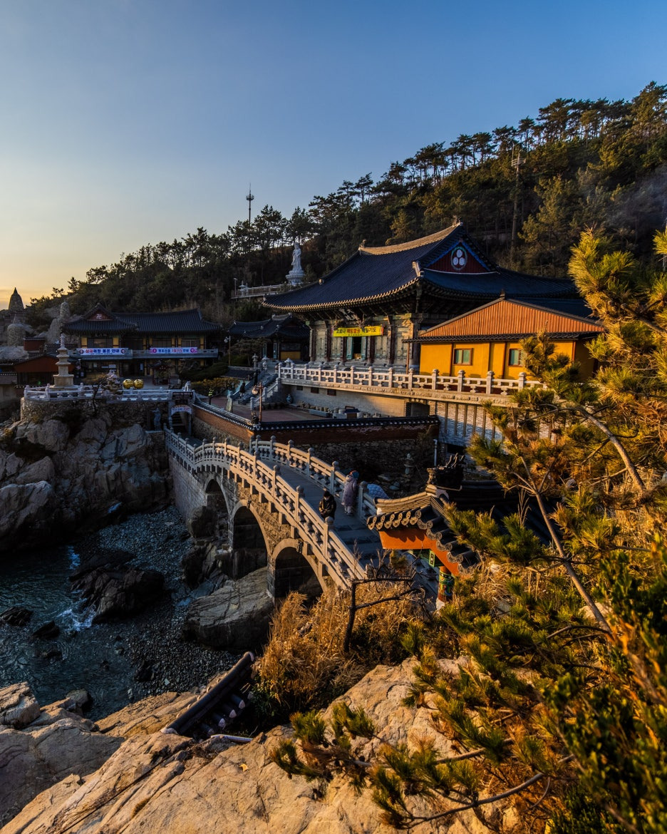 대한민국 해돋이 명소 TOP 5 기장 해동용궁사