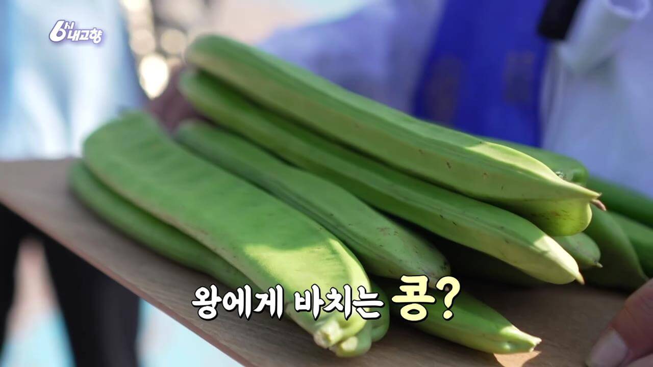 6시내고향 경북 문경 작두콩 사진