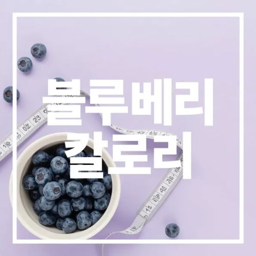 블루베리 칼로리