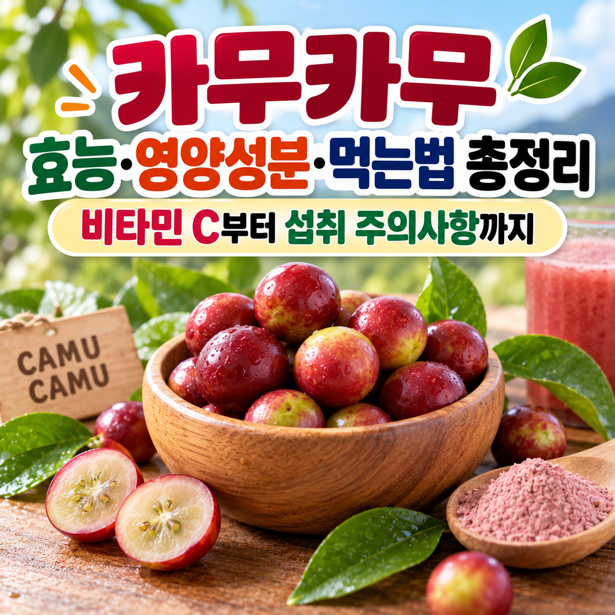 카무카무 효능