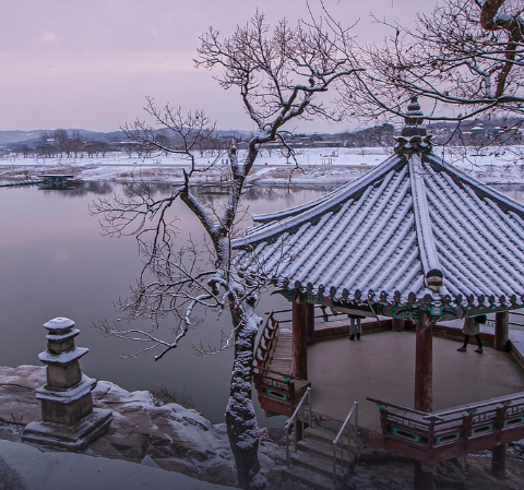 🍯 강정 그래놀라 — 전통 간식의 건강한 변신
