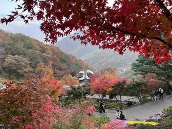 화담숲 예약하기 화담채 예약으로 절차정리_13