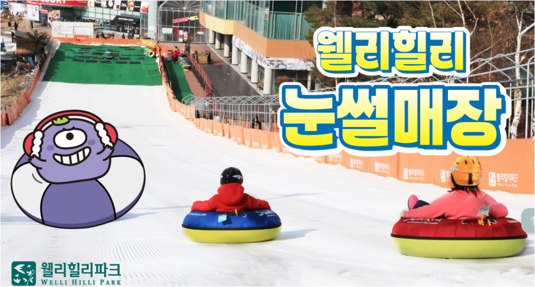 강원도 스키장 완벽 가이드 🎿 용평부터 비발디파크까지