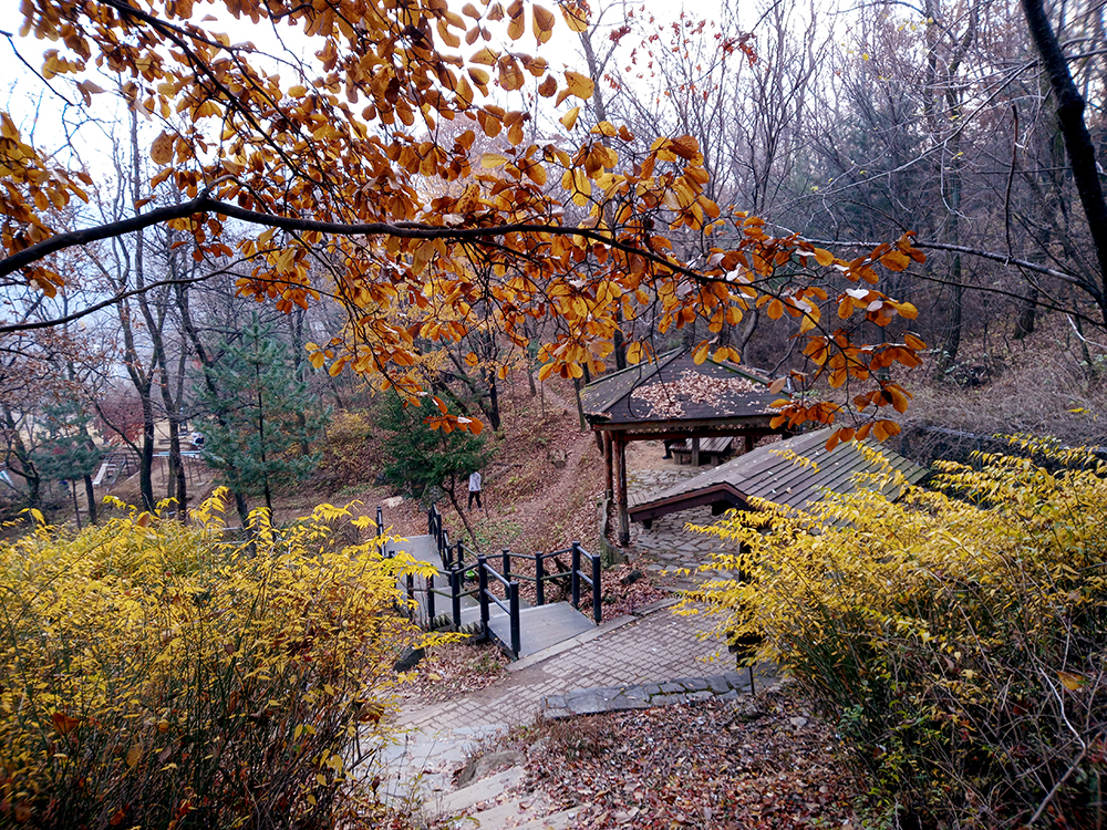 하루 3천보 나홀로걷기 챌린지