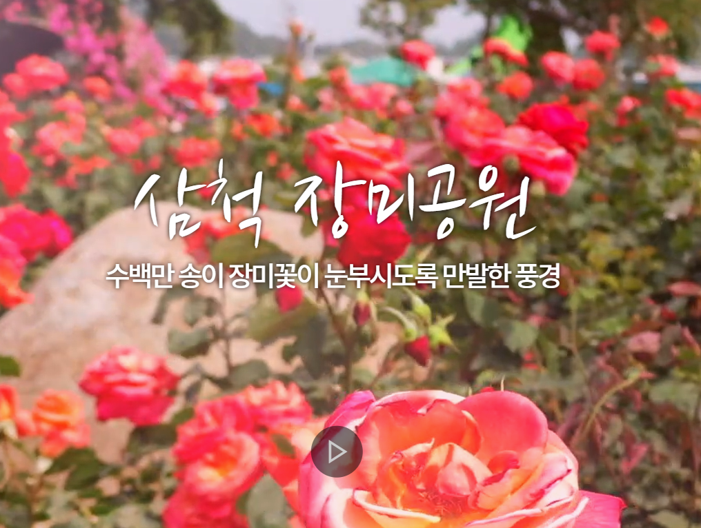 2024 삼척 장미축제 행사일정