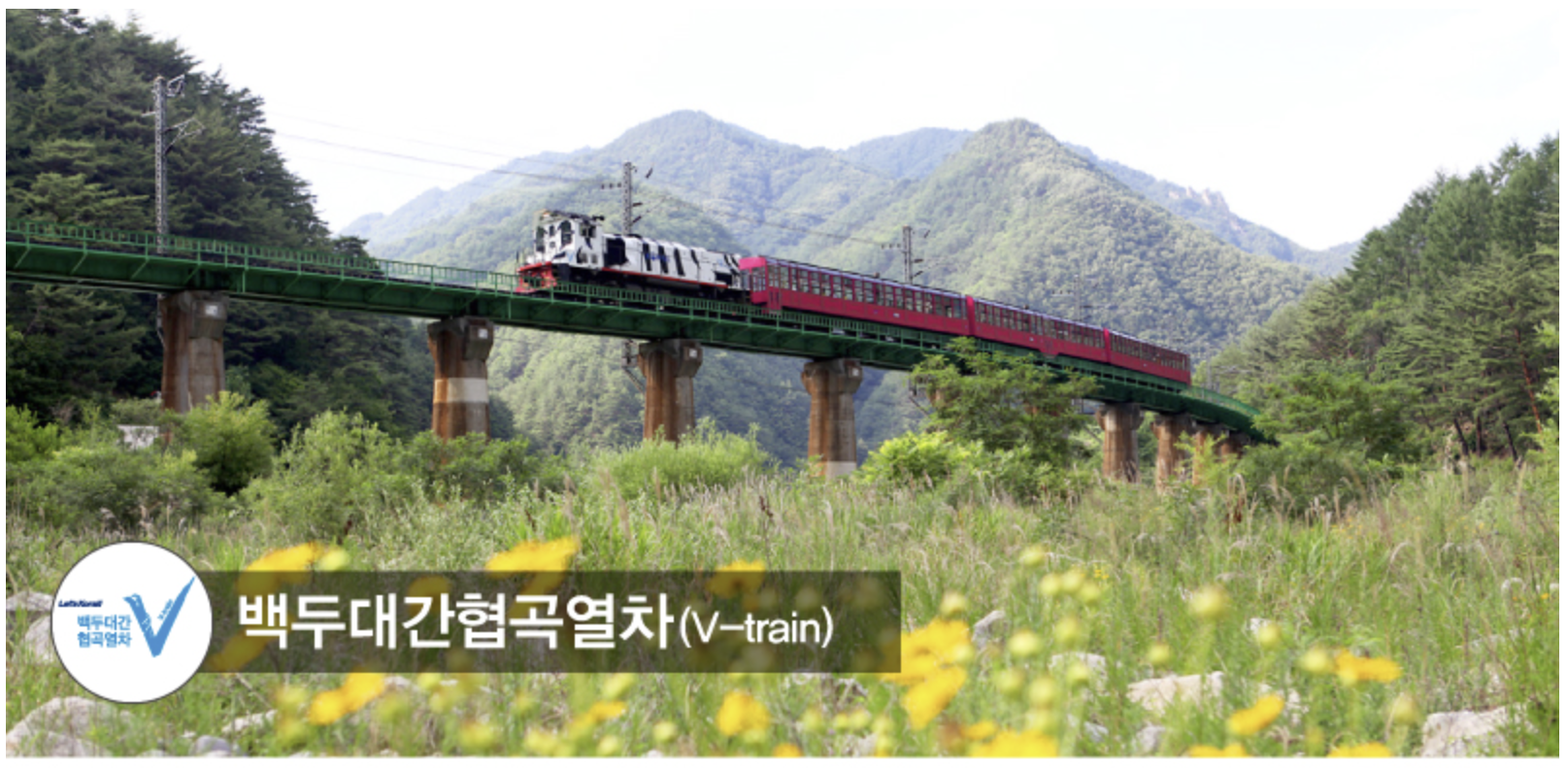 백두대간협곡열차 절경여행