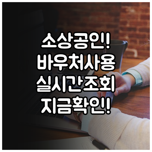 소상공인 경영안정 바우처 사용처 및 ..