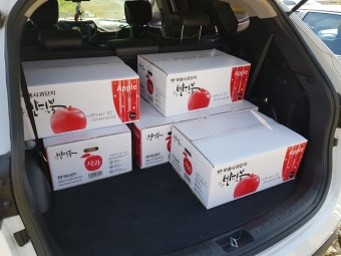 차-트렁크에-사과박스가-다섯개-실려있는-모습
