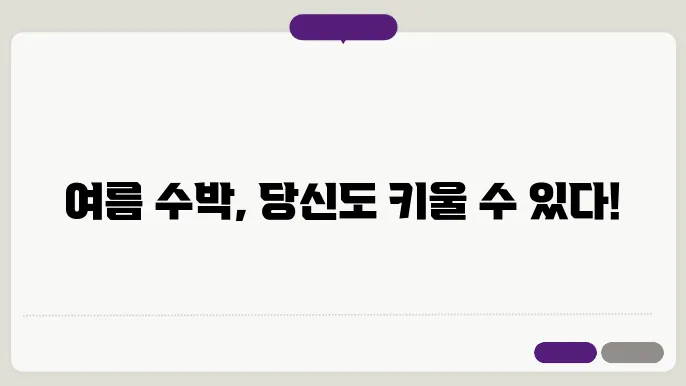 수박 순치기 방법 모종 심버스 은 미나