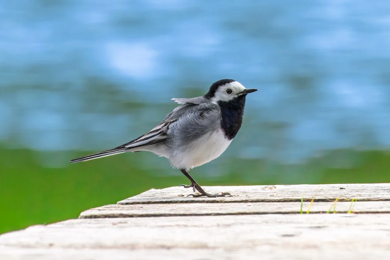 갱년기 증상 두드러기, 가려움증 약 없이 진정시키는 꿀팁 대공개