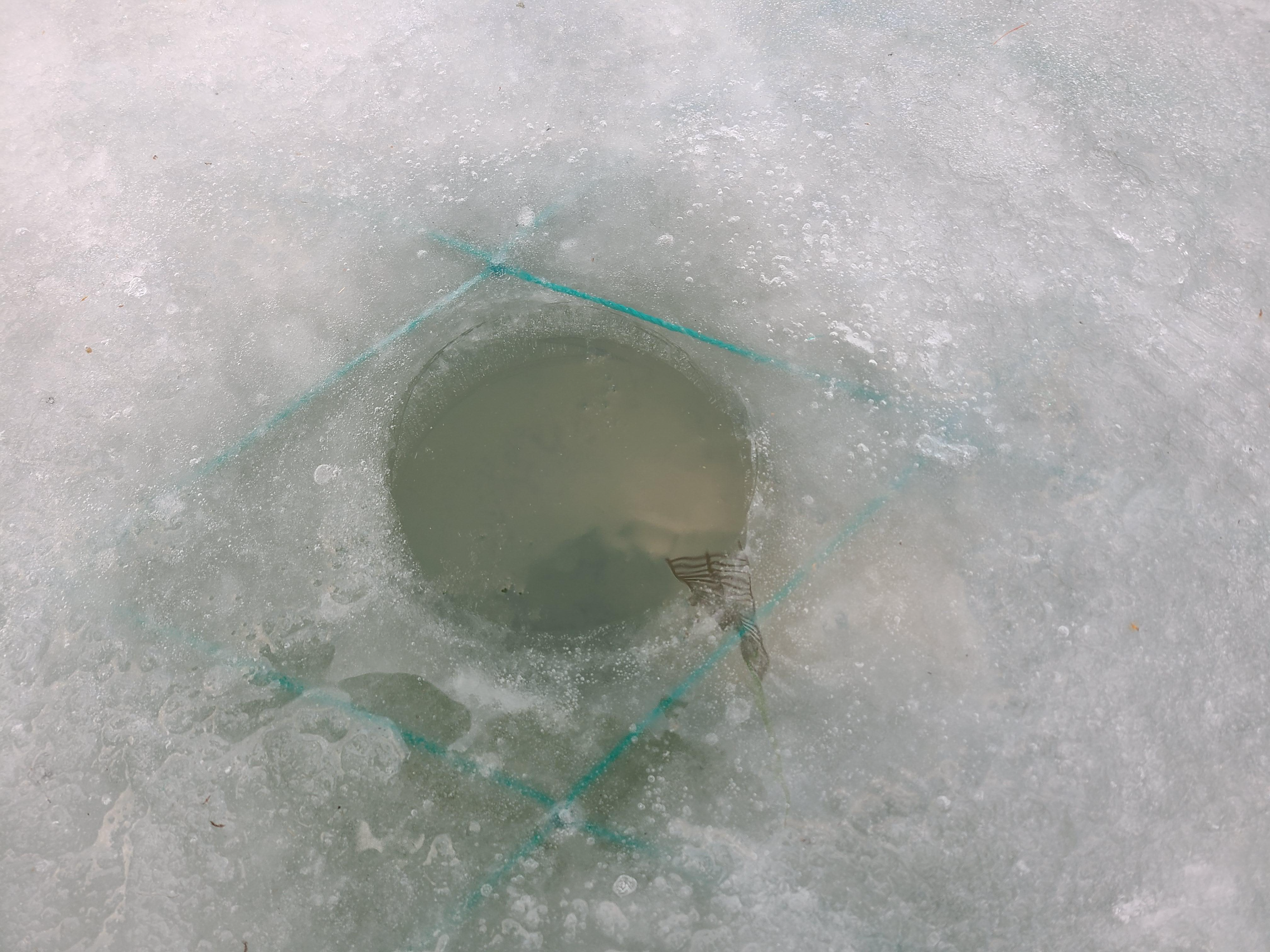 평창 송어 축제 얼음 낚시 구멍