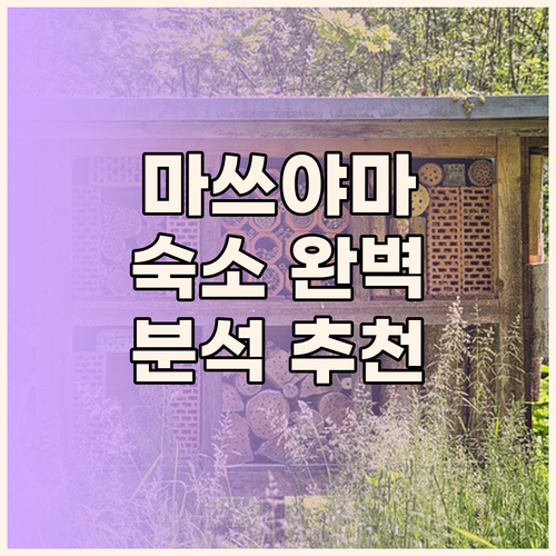 마쓰야마 숙소 완벽 분석 위치, 청결