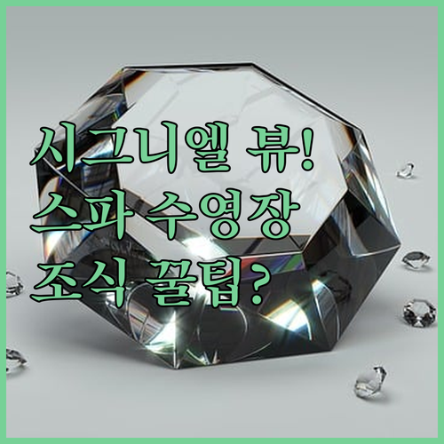 환상 시티뷰 시그니엘 서울 최고급 스..