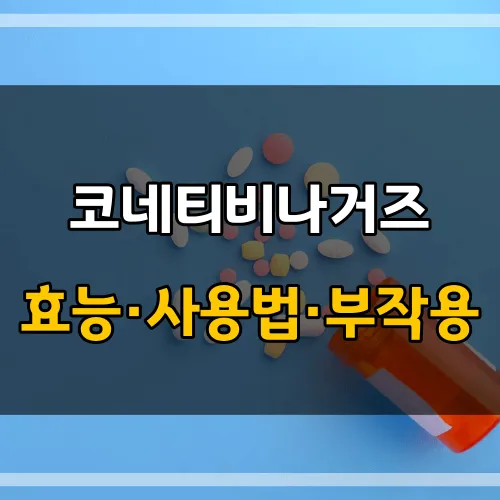 코네티비나거즈_썸네일_이미지