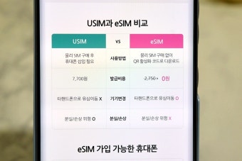 선불폰과 알뜰폰