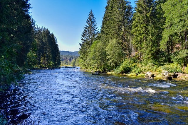 경계성 인격장애(BPD): 특징, 증상, 진단부터 치료까지 완벽 정리