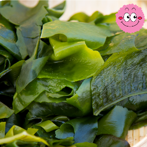 변비에 좋은 음식