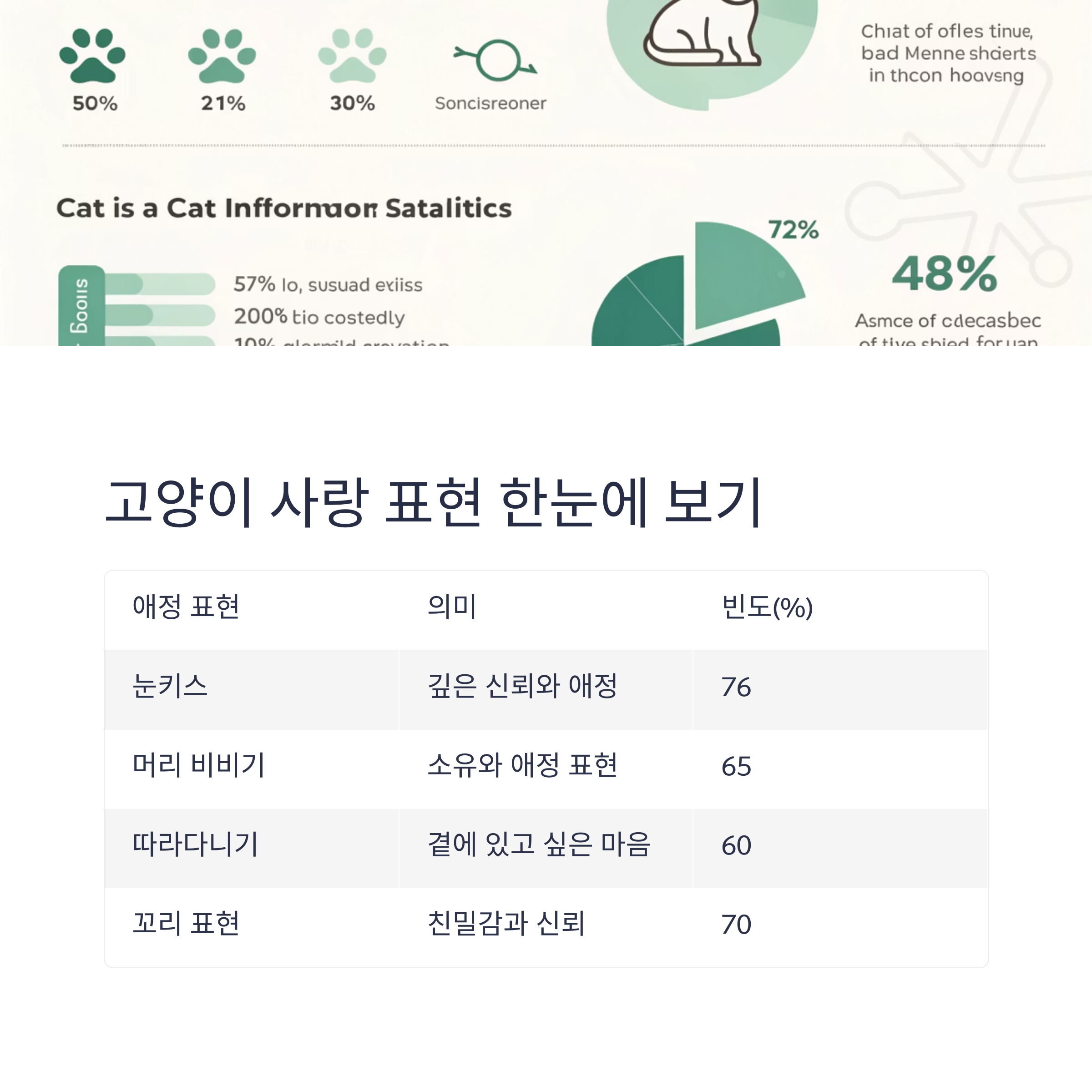 고양이 사랑 표현 한눈에 보기