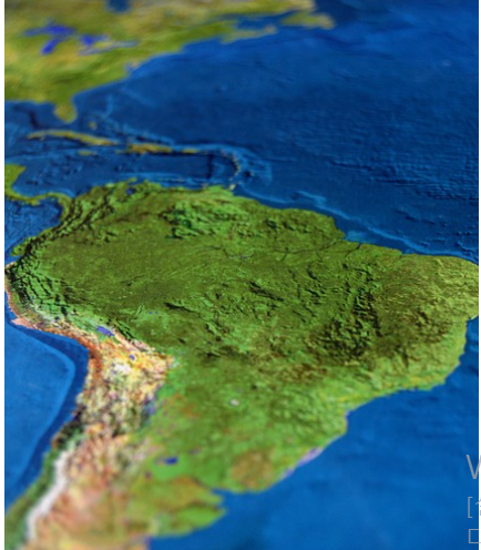 육지 vs 바다, 가장 희귀한 동물은 어디에 있을까?