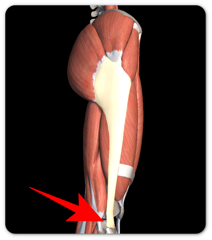 무릎 통증 원인 7가지 총정리
