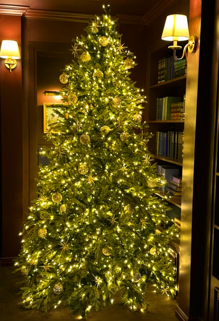 더현대-크리스마스-예약