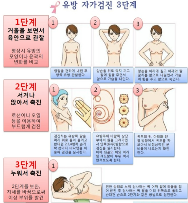 유방 자가 측정법
