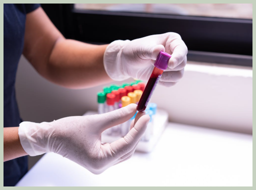 헤마토크리트 수치 검사