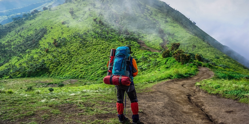 배낭 여행 사진