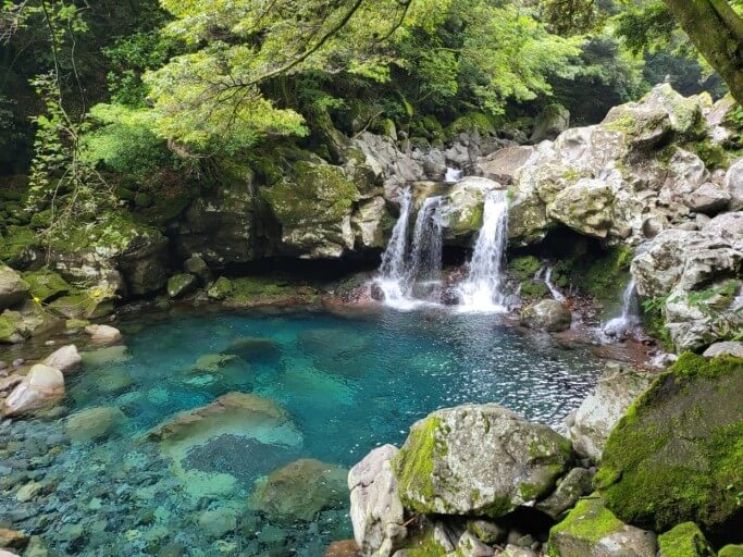 제주 돈내코 계곡