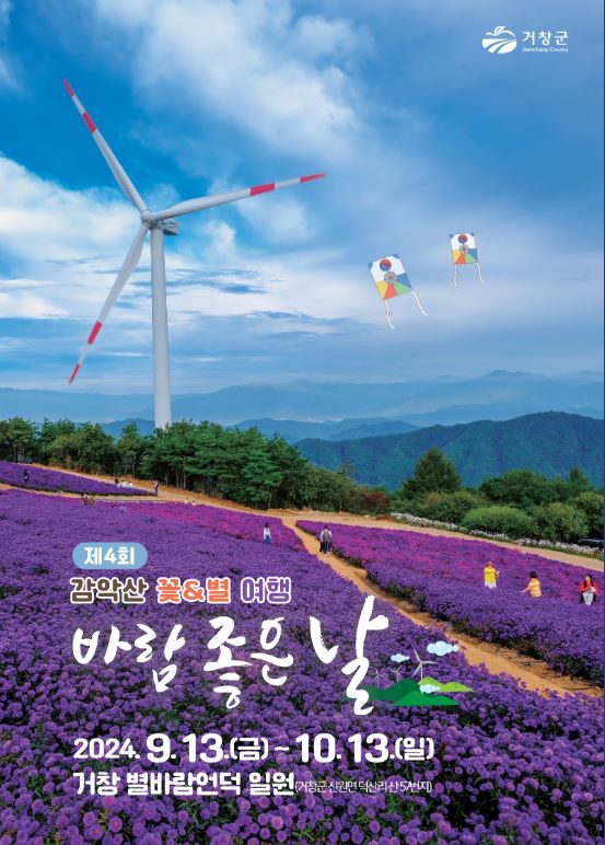 거창 감악산 아스타국화 축제