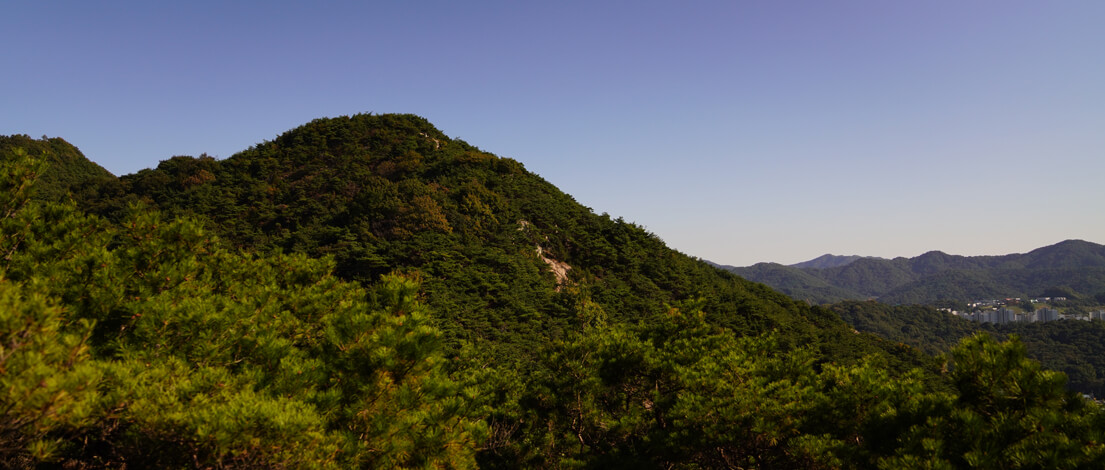 광주 금당산