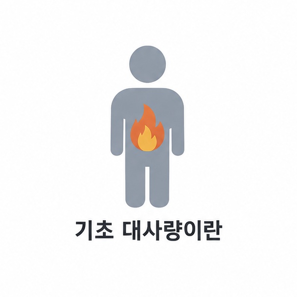 기초 대사량 대표 이미지, 사람 실루엣 안에 불꽃 아이콘을 넣은 일러스트