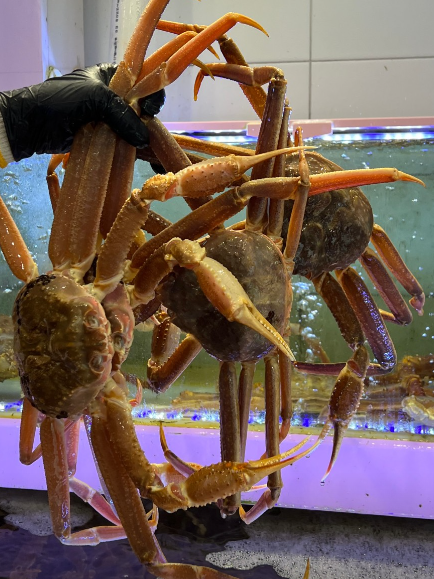 부자대게 대표 메뉴