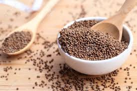 들깨 파종 시기