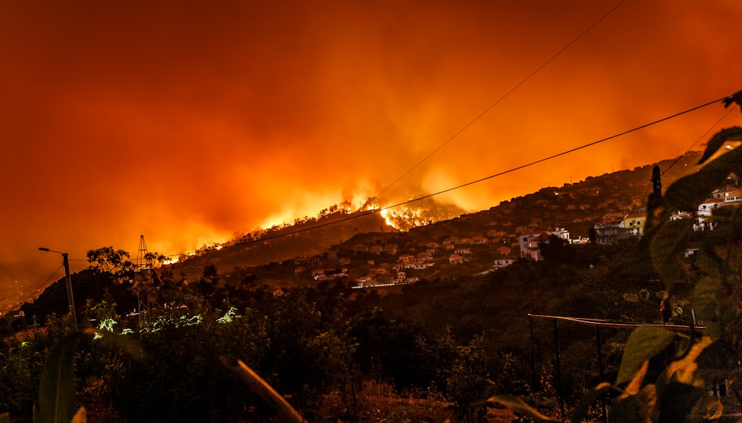 Wildfire